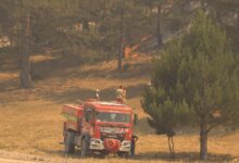 Seydikemer'de Tarım Arazisi Yangını Kaş Ormanına Sıçradı