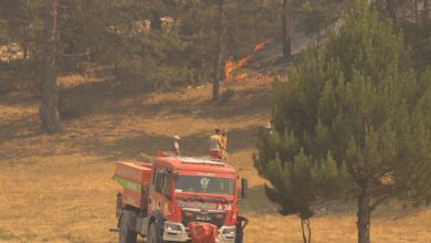 Seydikemer'de Tarım Arazisi Yangını Kaş Ormanına Sıçradı