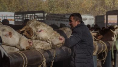 Wolfe Research, Tarım Sektöründe İyileşen Duyarlılık Tespit Etti Wolfe Research, Tarım Sektöründe İyileşen Duyarlılık Tespit Etti