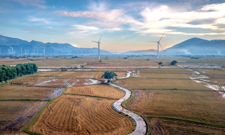Vietnam'da 2026 Tarım Girişimcilik Yarışması'nda Altı Proje Finalde