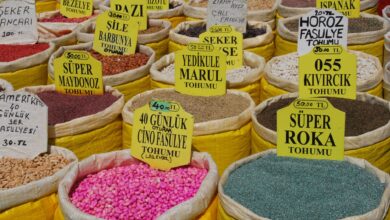 Tarım Kredi Market'te Gıda ve Temizlik Ürünlerinde Büyük İndirimler