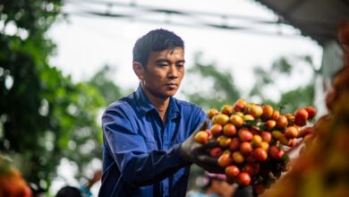 Vietnam Tarım İhracatını Değer Katkısıyla Artırma Stratejisi Geliştiriyor