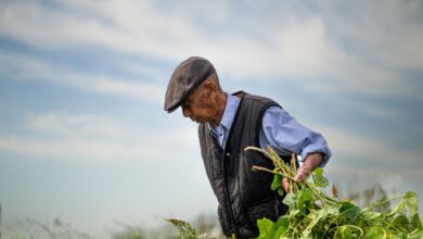 Yapay Zeka, Çiftçilerin Verimliliğini Artırarak Mühendis Rolünü Üstleniyor Yapay Zeka, Çiftçilerin Verimliliğini Artırarak Mühendis Rolünü Üstleniyor