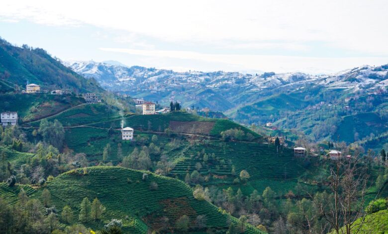 Yumaklı: Tarım ve Orman Vizyonu İçin Çalışmalar Sürecek