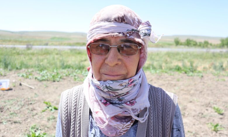 Afyonkarahisar'da Tarım Arazilerinde Saha Kontrolleri Devam Ediyor