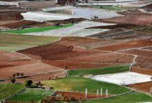 Antalya Tarım Teknokenti İş Dünyasını Büyük Heyecanla Sardı
