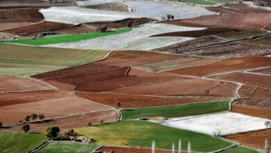 Antalya Tarım Teknokenti İş Dünyasını Büyük Heyecanla Sardı Antalya Tarım Teknokenti İş Dünyasını Büyük Heyecanla Sardı