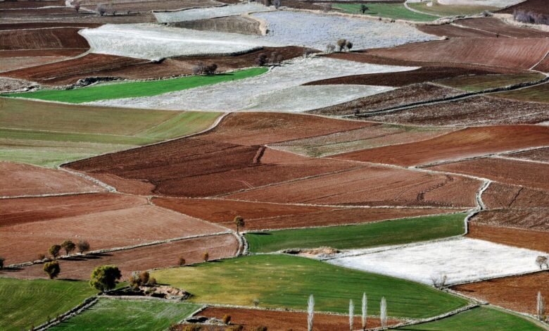 Antalya Tarım Teknokenti İş Dünyasını Büyük Heyecanla Sardı Antalya Tarım Teknokenti İş Dünyasını Büyük Heyecanla Sardı