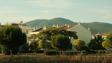 Balıkesir'de FAO İş Birliğiyle Tarım-Gıda Çalıştayına 50 Temsilci Katıldı Balıkesir'de FAO İş Birliğiyle Tarım-Gıda Çalıştayına 50 Temsilci Katıldı