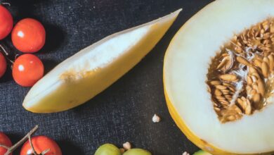 Niğde Bor'da Domates ve Kavun Hasadı Sezonu Başladı Niğde Bor'da Domates ve Kavun Hasadı Sezonu Başladı