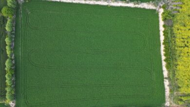 Denizli Tarım ve Orman Müdürlüğünde Koordinasyon Toplantısı Denizli Tarım ve Orman Müdürlüğünde Koordinasyon Toplantısı