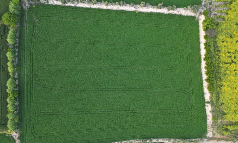 Denizli Tarım ve Orman Müdürlüğünde Koordinasyon Toplantısı Denizli Tarım ve Orman Müdürlüğünde Koordinasyon Toplantısı