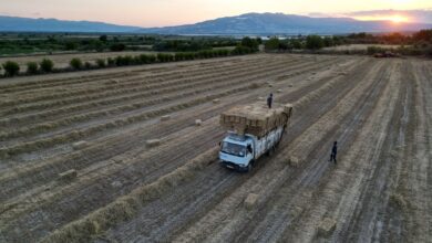Denizli Tarım Arazisi Yangını Söndürüldü: Ekipler Hızla Müdahale Etti