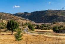 Erzincan'da Tarım Gündemi Eylül Ayında Ele Alındı