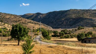 Erzincan'a 169,6 Milyon TL Tarımsal Hibe Desteği Sağlandı Erzincan'a 169,6 Milyon TL Tarımsal Hibe Desteği Sağlandı
