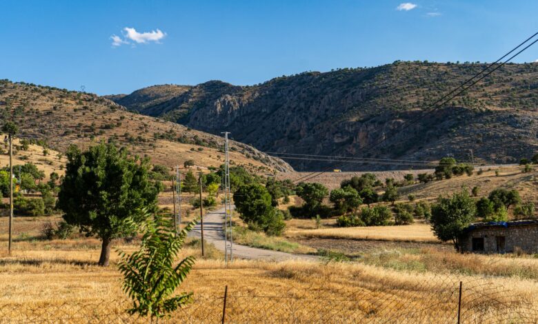 Erzincan'a 169,6 Milyon TL Tarımsal Hibe Desteği Sağlandı Erzincan'a 169,6 Milyon TL Tarımsal Hibe Desteği Sağlandı