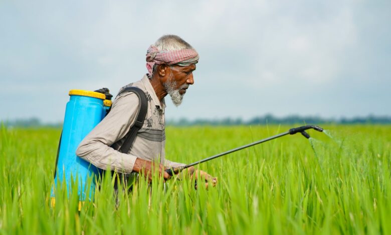 Zincir Markete Pestisit Cezası: Üründe Kalıntı Tespit Edildi Zincir Markete Pestisit Cezası: Üründe Kalıntı Tespit Edildi