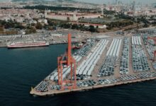 Türkiye, 2027'de 480 Bin Baş Besilik Erkek Sığır İthal Edecek