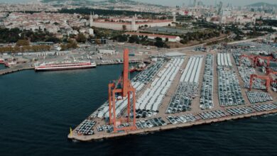 Türkiye, 2027'de 480 Bin Baş Besilik Erkek Sığır İthal Edecek Türkiye, 2027'de 480 Bin Baş Besilik Erkek Sığır İthal Edecek