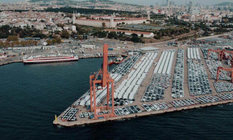 Türkiye, 2027'de 480 Bin Baş Besilik Erkek Sığır İthal Edecek Türkiye, 2027'de 480 Bin Baş Besilik Erkek Sığır İthal Edecek