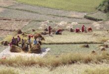 Tarım Zihniyeti Değişimi Çalıştayı 100 Yetkili ve Çiftçiyi Buluşturdu