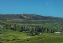 Erzurum'da Tarım Sözcüleri Saha İncelemesi Gerçekleştirdi