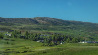 Erzurum'da Tarım Sözcüleri Saha İncelemesi Gerçekleştirdi