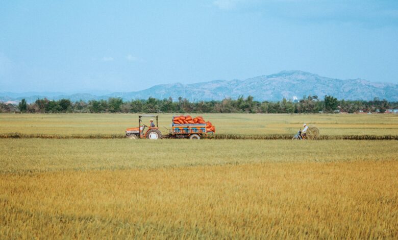 Tarım Sigortası, Vietnam'da Doğal Afetlere Karşı Risk Aracı Tarım Sigortası, Vietnam'da Doğal Afetlere Karşı Risk Aracı