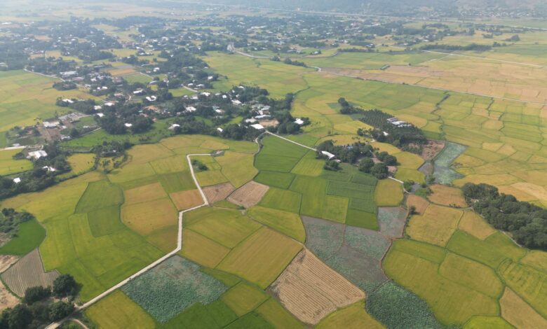 Vietnam'da Yeşil Tarım, Değer Yaratma ve Sürdürülebilirliğin Anahtarı Vietnam'da Yeşil Tarım, Değer Yaratma ve Sürdürülebilirliğin Anahtarı