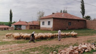 Yozgat'ta 16. Tarım, Gıda ve Hayvancılık Fuarı Ziyaretçilere Açıldı