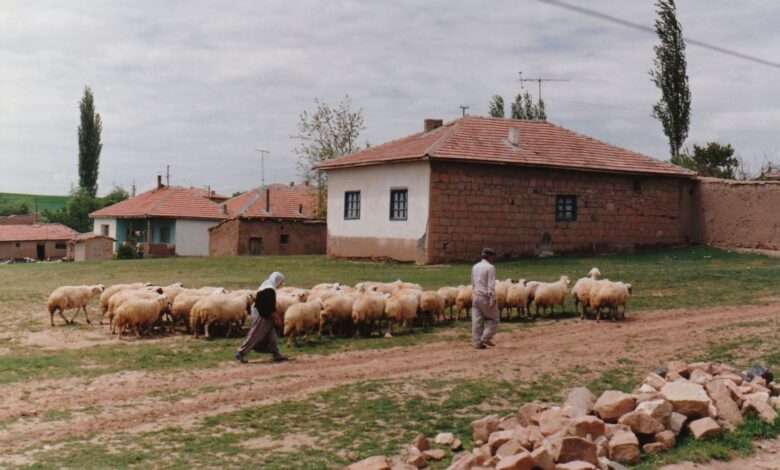 Yozgat'ta 16. Tarım, Gıda ve Hayvancılık Fuarı Ziyaretçilere Açıldı Yozgat'ta 16. Tarım, Gıda ve Hayvancılık Fuarı Ziyaretçilere Açıldı
