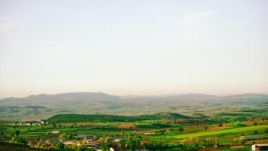 Bursa'da 2. AgroGreen Tarım ve Hayvancılık Fuarı 14 Ekim'de Başlayacak Bursa'da 2. AgroGreen Tarım ve Hayvancılık Fuarı 14 Ekim'de Başlayacak