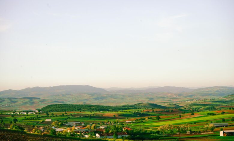 Bursa'da 2. AgroGreen Tarım ve Hayvancılık Fuarı 14 Ekim'de Başlayacak Bursa'da 2. AgroGreen Tarım ve Hayvancılık Fuarı 14 Ekim'de Başlayacak