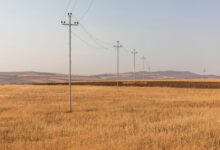 Türk ve Azerbaycanlı İş İnsanları Bakü'de Tarım Sektörünü Görüştü