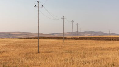 Türk ve Azerbaycanlı İş İnsanları Bakü'de Tarım Sektörünü Görüştü Türk ve Azerbaycanlı İş İnsanları Bakü'de Tarım Sektörünü Görüştü