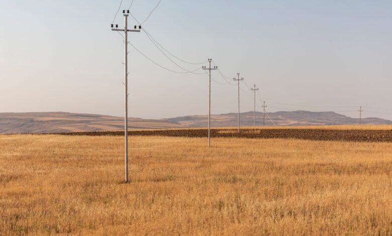 Türk ve Azerbaycanlı İş İnsanları Bakü'de Tarım Sektörünü Görüştü Türk ve Azerbaycanlı İş İnsanları Bakü'de Tarım Sektörünü Görüştü