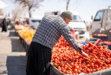 Kahramanmaraş Tarım Fuarı Dört Yıl Aradan Sonra Yeniden Açıldı