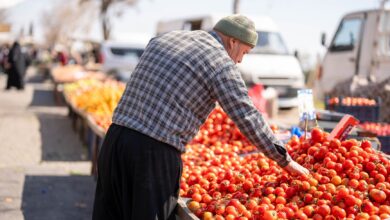 Kahramanmaraş Tarım Fuarı Dört Yıl Aradan Sonra Yeniden Açıldı