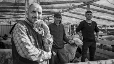 Özgür Özel Bursa'da Çiftçilere Seslendi: Tarım Bakanı Sözü Verdi Özgür Özel Bursa'da Çiftçilere Seslendi: Tarım Bakanı Sözü Verdi
