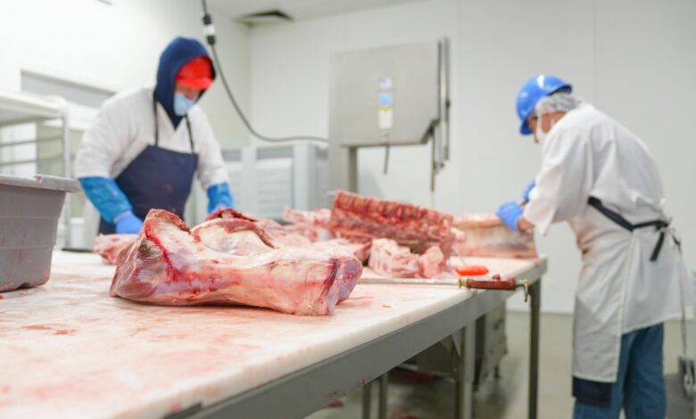 Bakanlık, Ünlü Pidecide At ve Eşek Eti Skandalı Listesini Paylaştı Bakanlık, Ünlü Pidecide At ve Eşek Eti Skandalı Listesini Paylaştı