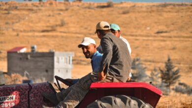 Türkiye Tarımında Mazot Şoku: Ekim ve Hasat Faaliyetleri Etkilendi
