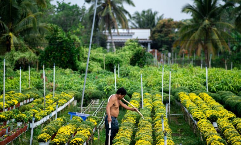 Vietnam Meclis Başkanı Tran Thanh Man Akademide Fidan Dikti